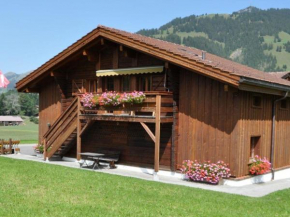Apartment Alpenchalet Weidhaus Studio Nr- 3